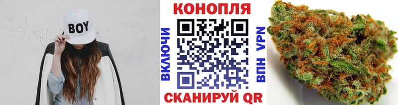 Бошки Шишки семена  Змеиногорск 
